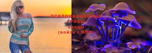 ALPHA PVP Каменка