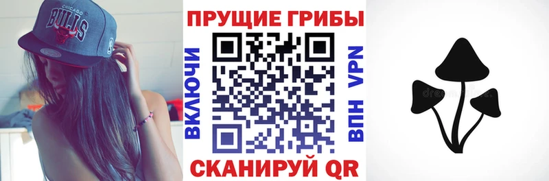 Галлюциногенные грибы прущие грибы  Купить  Гатчина 